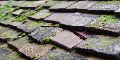Withyham roof repair costs